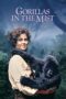 Nonton Film Gorillas in the Mist- The Story of Dian Fossey (1988) Terbaru Nonton Film Gorillas in the Mist- The Story of Dian Fossey (1988) Terbaru